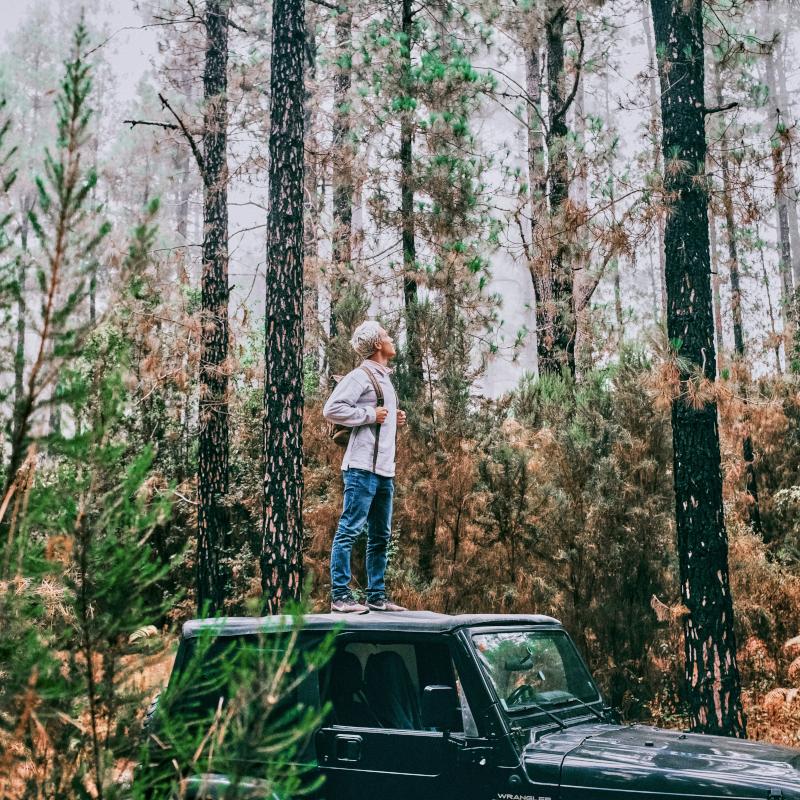 A man with a backpack stands on the roof of a parked car in the middle of the forest